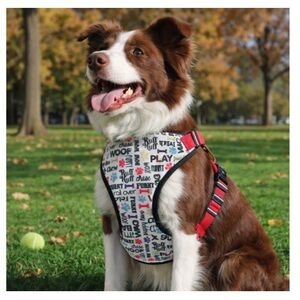 NEW Colorful Padded Dog Harness with Fun Text